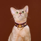 Handmade Cat Collar – Red Velvet with Vintage Lotus Flower