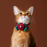 Handmade Cat Collar – Red Lace and Camellia