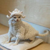“Cat wearing lamb fleece coat and aviator hat on cushion”