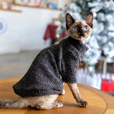 Sphynx Cat Sweater – Charcoal Textured Knit