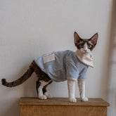 Sphynx Cat T-Shirt – Fold Over Collar | Blue