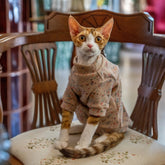 Minimalist charcoal grey and speckled khaki wool cat sweaters, designed with a simple pullover style for the sensitive skin of Sphynx and Devon Rex cats - explormeow