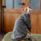 Minimalist dark grey wool cat sweater made of soft, non-irritating fabric specifically designed for sensitive skin of Sphynx and Devon Rex cats - explormeow