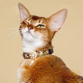 Handmade Cat Collar – Green Viper PU Leather