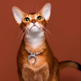 Collar para gato hecho a mano: Cuentas de luna plateadas con cuero sintético