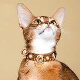 Handmade Cat Collar – Golden Viper PU Leather