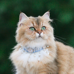 Handmade Cat Collar – Chanel Style and Floral Charms