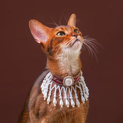 Handmade Cat Collar – Pearl Tassel Shoulder Drape