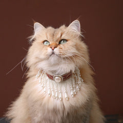 Handmade Cat Collar – Pearl Tassel Shoulder Drape