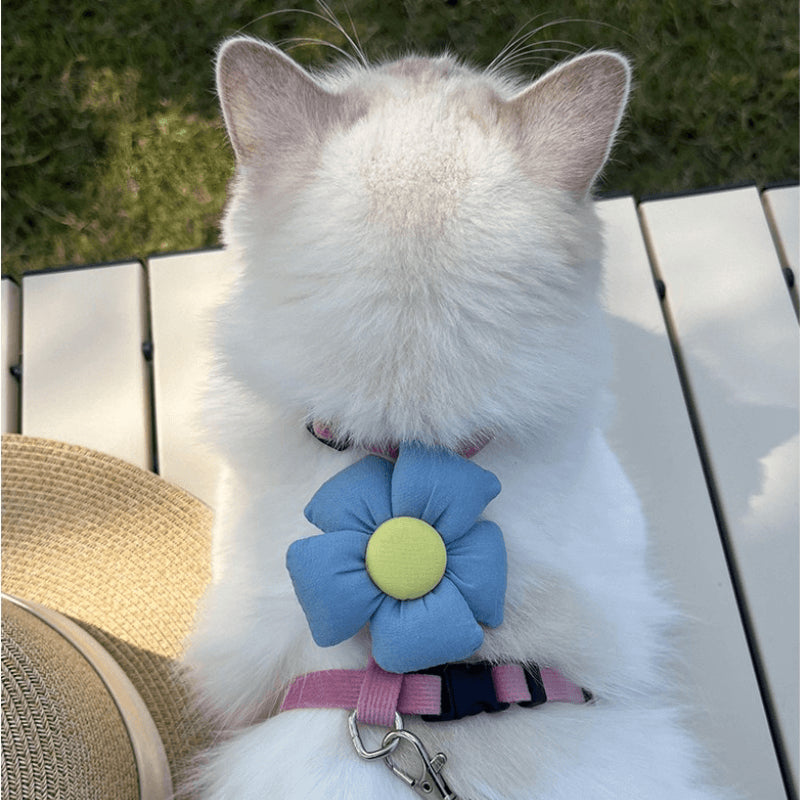 Cat Harness and Leash Set for Small Cats – Blue Flower and Pink Leash