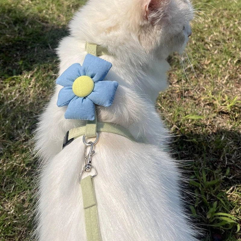 Cat Harness and Leash Set for Small Cats – Blue Flower and Green Leash
