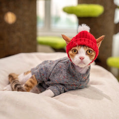 Knit Cat Hat – Little Red Hat