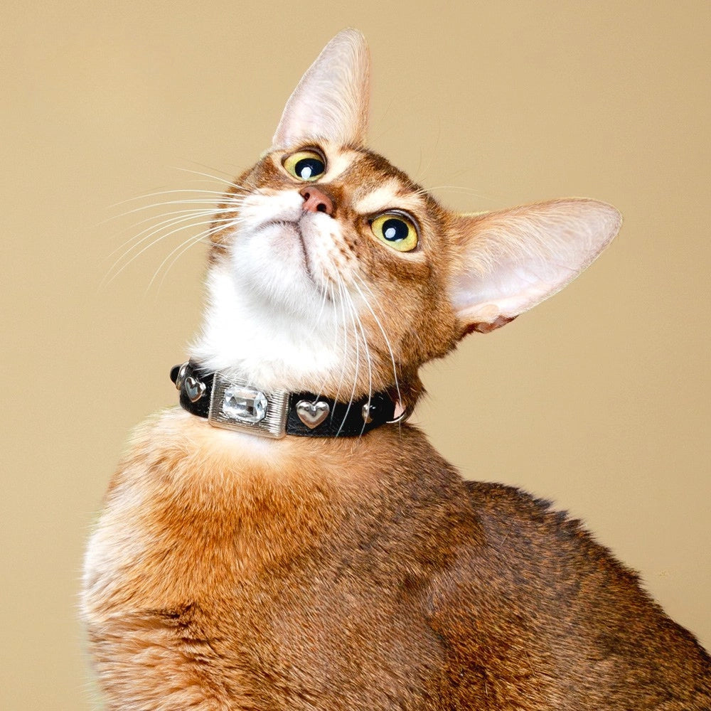 Handmade Cat Collar – Starlit Night PU Leather