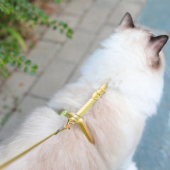 Dopamine Cat Harness – 3 Point Adjustable H-Style | Green