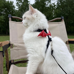Cat Harness and Leash Set | Halloween Bat Wings Red