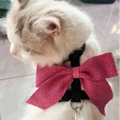 Cat Harness and Leash Set – Long Tail Bow
