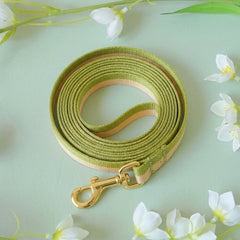 Dopamine Cat Leash – Lightweight Tangle-Free Lead | Green