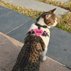 Cat Harness and Leash Set – Black Bat Wing & Pink Heart