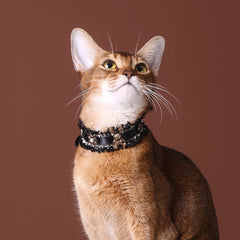 Handmade Cat Collar | Black Lace and Golden Rabbit