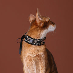 Handmade Cat Collar | Black Lace and Golden Rabbit