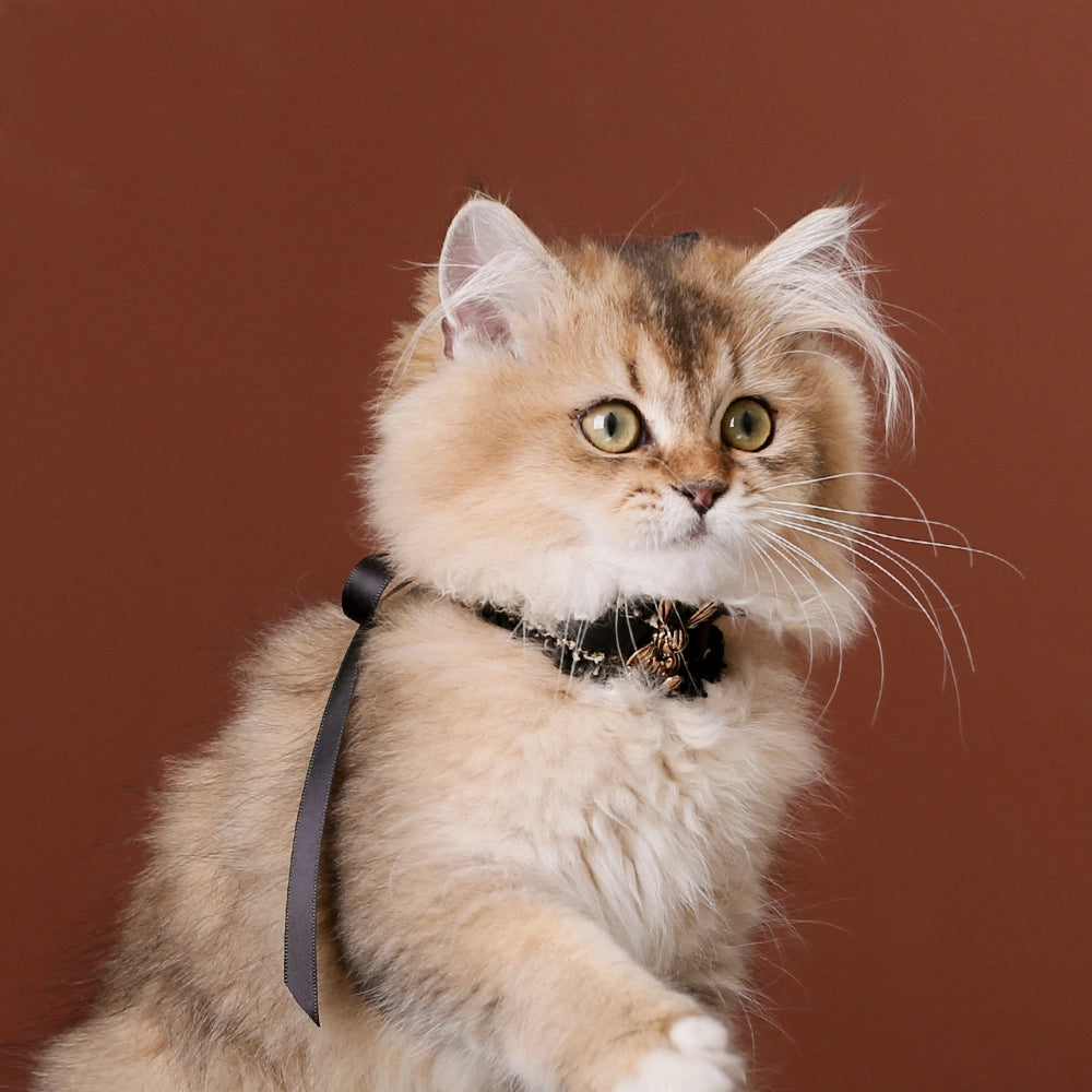 Handmade Cat Collar | Black Lace and Golden Rabbit