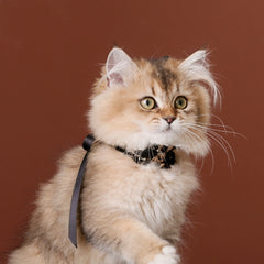 Handmade Cat Collar | Black Lace and Golden Rabbit