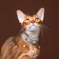 Handmade Cat Collar | Celadon Velvet with Pearl Chain