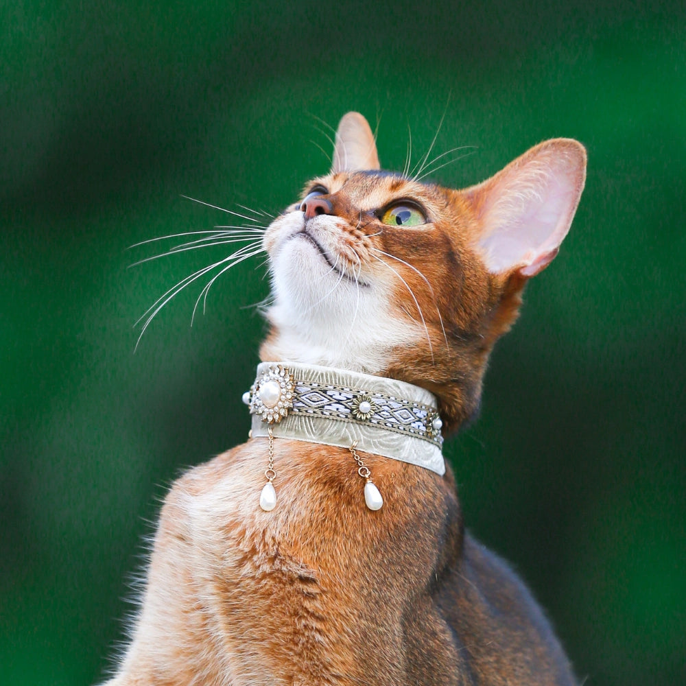 Handmade Cat Collar | Celadon Velvet with Pearl Chain