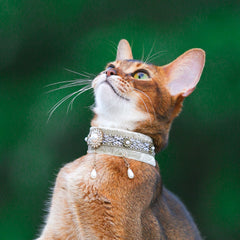 Handmade Cat Collar | Celadon Velvet with Pearl Chain