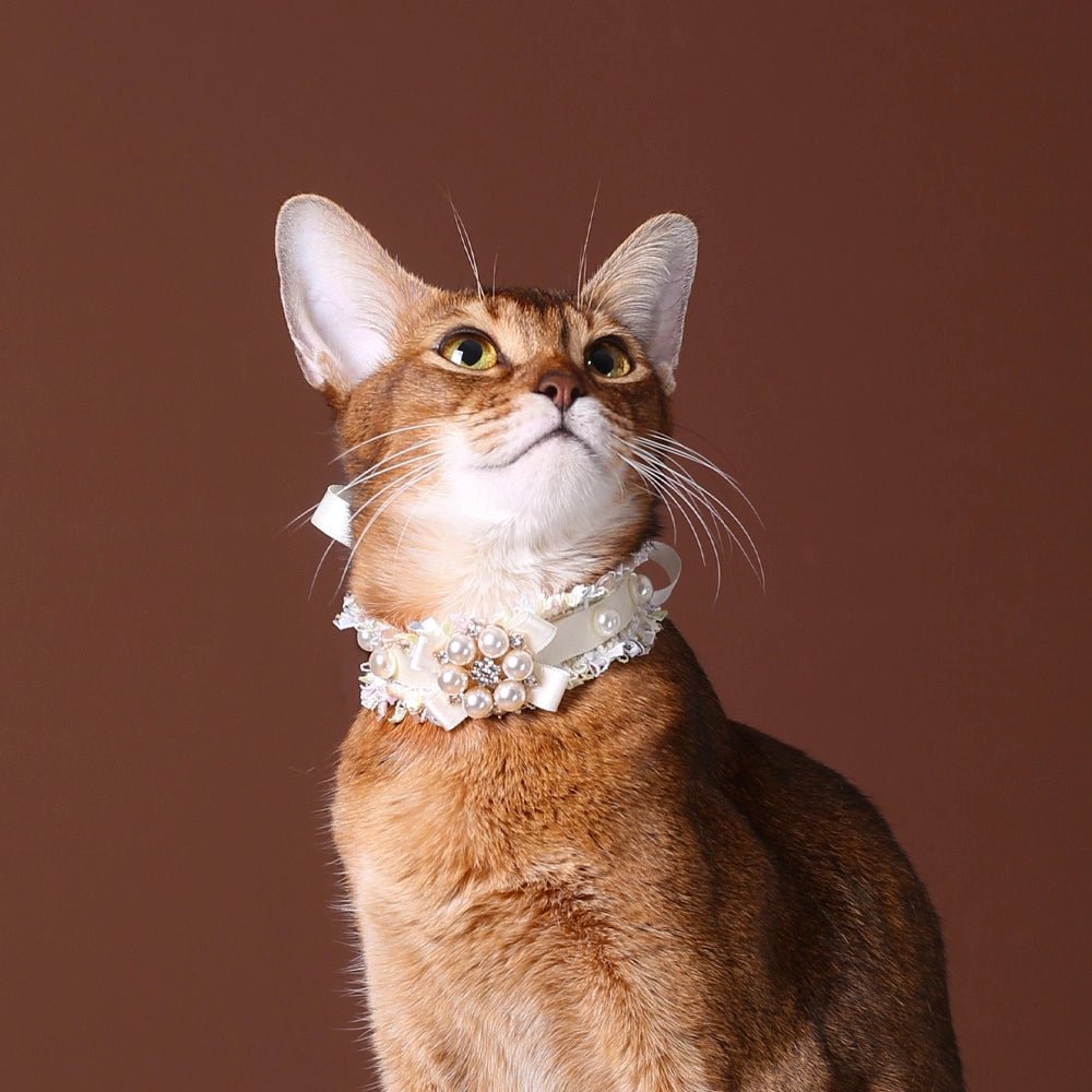 Handmade Cat Collar – Creamy White Lace and Pearl Cluster