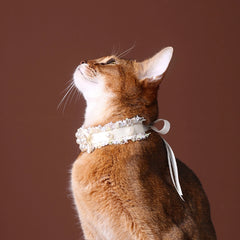 Handmade Cat Collar – Creamy White Lace and Pearl Cluster