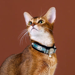 Handmade Cat Collar | Noble Velvet with Gemstone