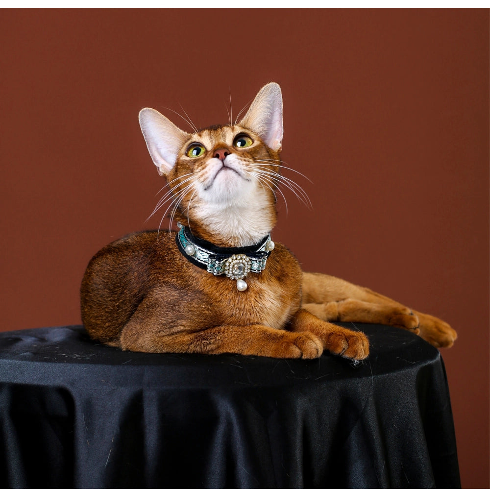 Handmade Cat Collar | Noble Velvet with Gemstone