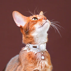 Handmade Cat Collar | Lace and Pearl