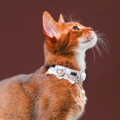 Handmade Cat Collar | Lace and Pearl