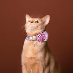 Handmade Cat Collar | Lavender Floral and Pearl
