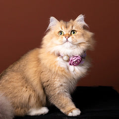Handmade Cat Collar | Lavender Floral and Pearl