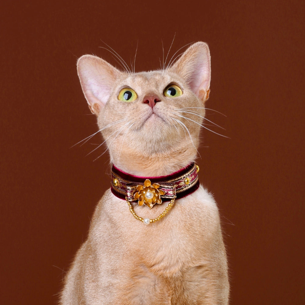 Handmade Cat Collar | Red Velvet with Lotus