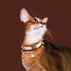 Handmade Cat Collar | Pearl Charms