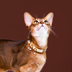 Handmade Cat Collar | Pearl Charms