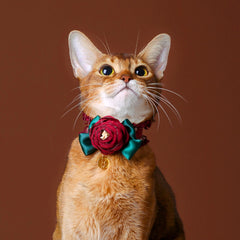 Handmade Cat Collar – Red Lace and Camellia