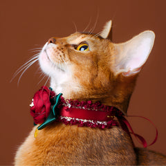 Handmade Cat Collar – Red Lace and Camellia