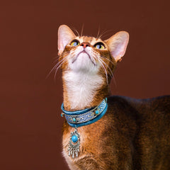 Handmade Cat Collar | Turquoise Stone