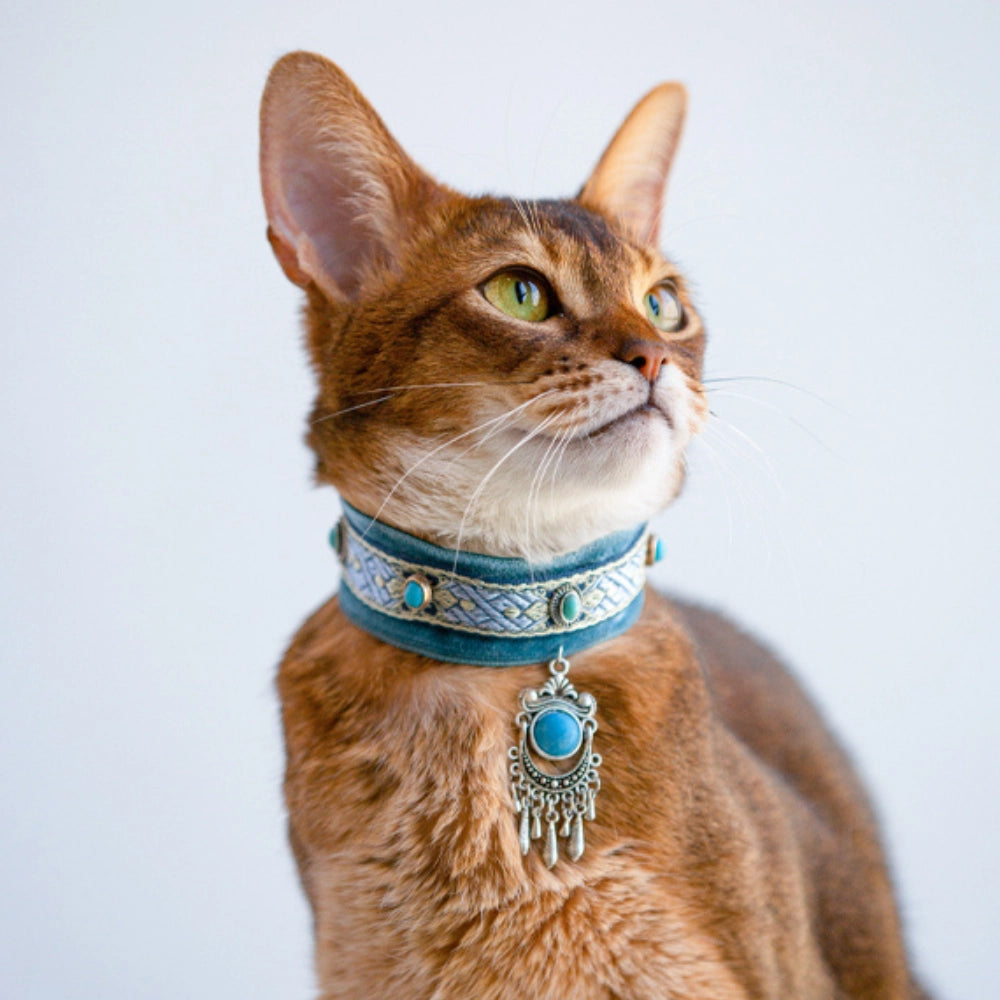 Handmade Cat Collar | Turquoise Stone
