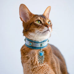 Handmade Cat Collar | Turquoise Stone