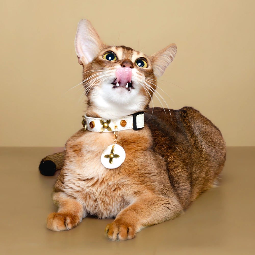 Handmade Cat Collar – White Crocodile PU Leather