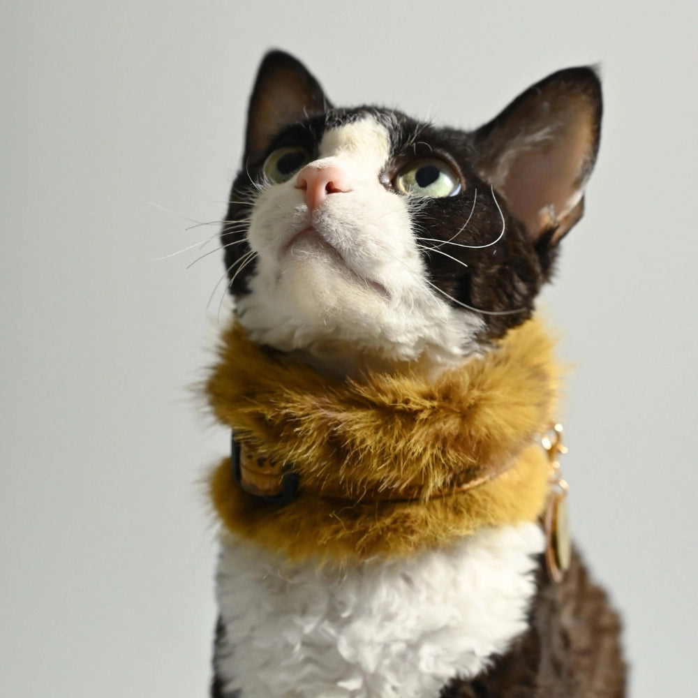 Handmade Cat Collar Set– Leopard Faux Fur | Curry