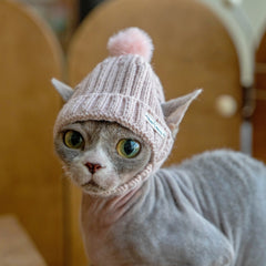 Knit Cat Hat – Beanie