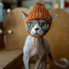 Knit Cat Hat – Beanie