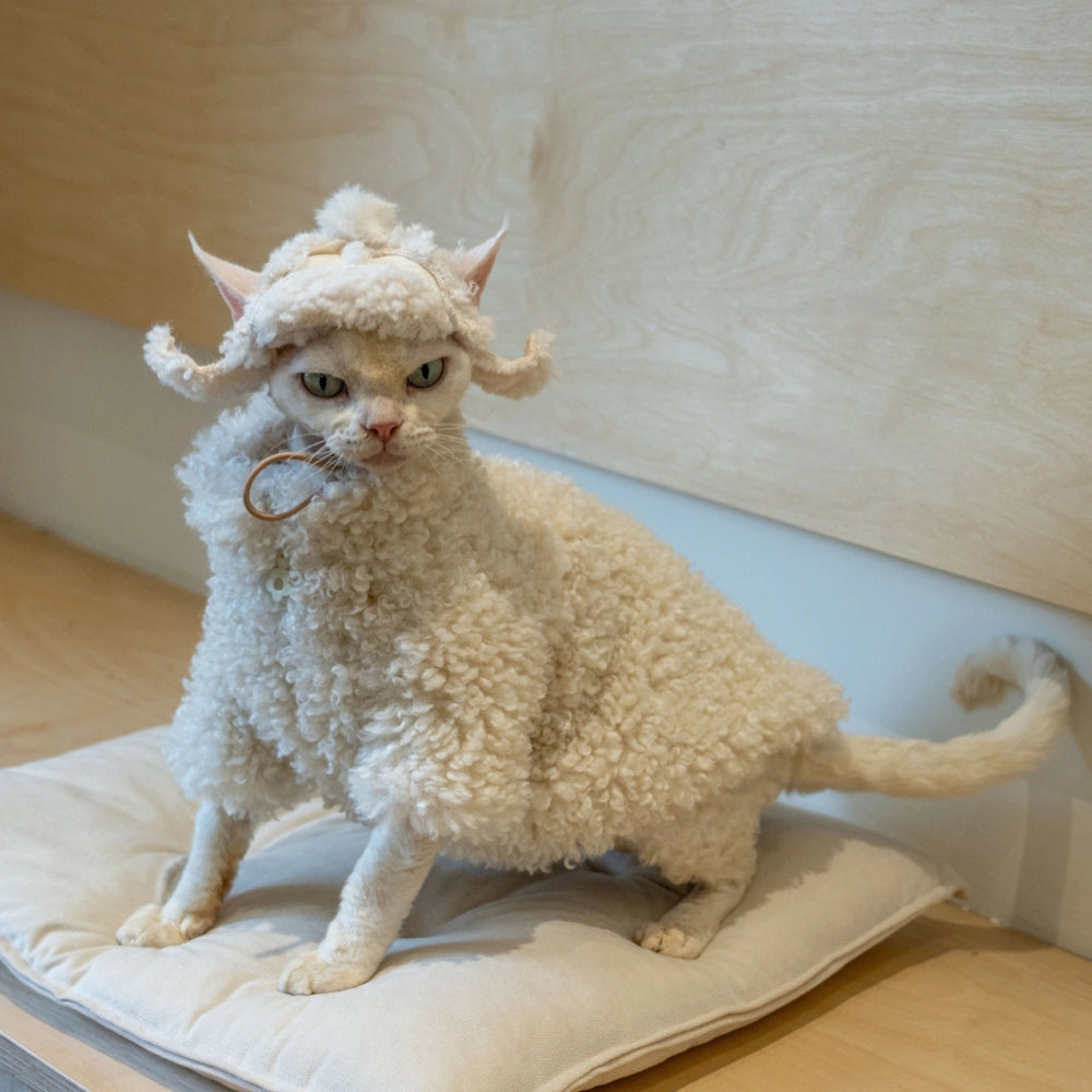 “Cat wearing lamb fleece coat and aviator hat on cushion”